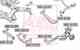 Сайлентблок, рычаг независимой подвески колеса ASVA 0801B12R1 - изображение