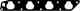 Прокладка впускного коллектора GLASER X57657-01 - изображение