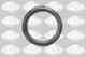 Уплотнительное кольцо SASIC 1640020 - изображение