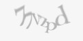 Защитный код