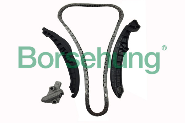 Цепь грм (комплект) (CAXA,CFNA,BTS) <b>BORSEHUNG B17991</b> - изображение