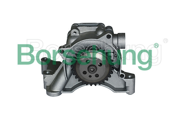 Насос масляный <b>BORSEHUNG B18512</b> - изображение Насос масляный <b>BORSEHUNG B18512</b> - изображение