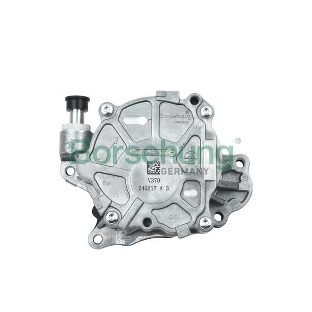 Вакуумный насос <b>BORSEHUNG B18800</b> - изображение Вакуумный насос <b>BORSEHUNG B18800</b> - изображение