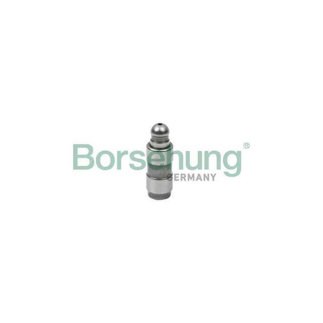 Гидрокомпенсатор <b>BORSEHUNG B18825</b> - изображение