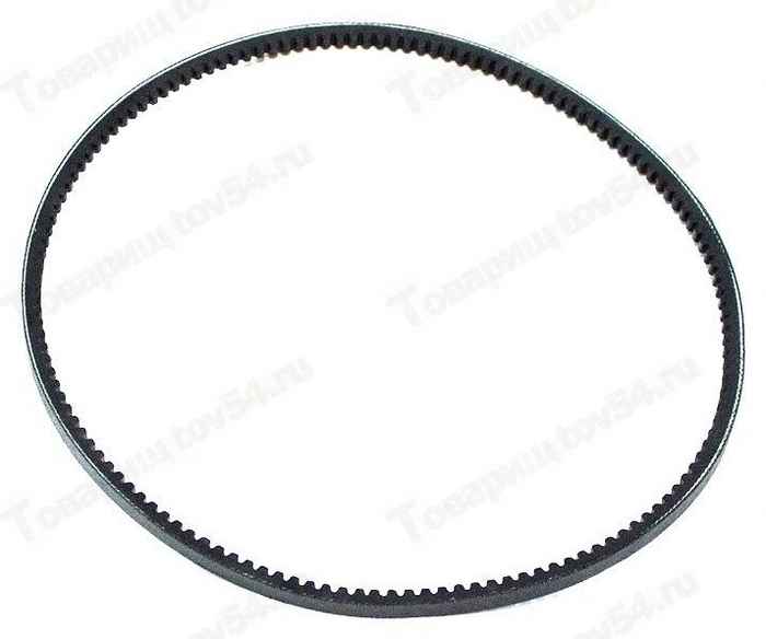 Ремень 900 ГАЗель зубчатый <b>БРТ 10.7Х8-900Р</b> - изображение