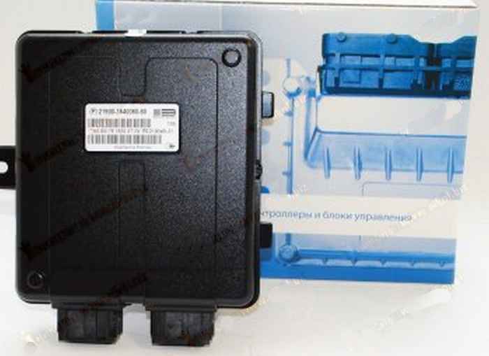 Блок центральный кузовной электрики ВАЗ 2190-60 <b>ЭЛКАР 2190-3840080-60 ИУ</b> - изображение