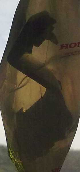 Заглушка HONDA 73164S7S000 - изображение 1