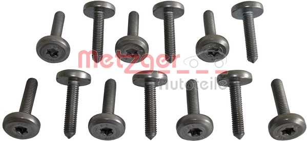 Винт, масляный поддон автоматической коробки передач <b>METZGER 8029025</b> - изображение