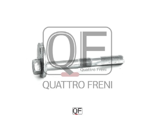 Болт с эксцентриком <b>QUATTRO FRENI QF00X00009</b> - изображение