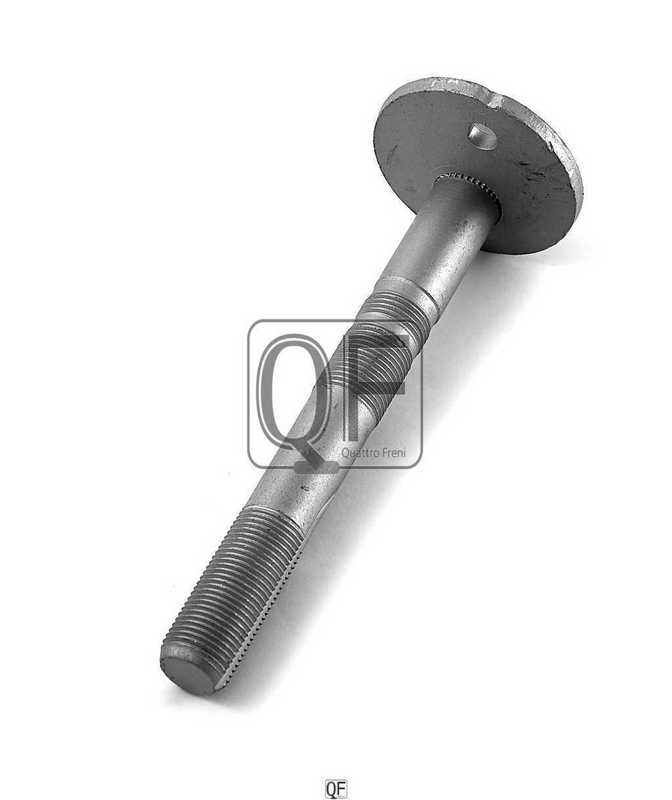 Болт с эксцентриком <b>QUATTRO FRENI QF00X00010</b> - изображение