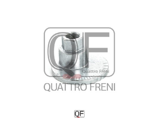 Гайка с эксцентриком <b>QUATTRO FRENI QF00X00016</b> - изображение