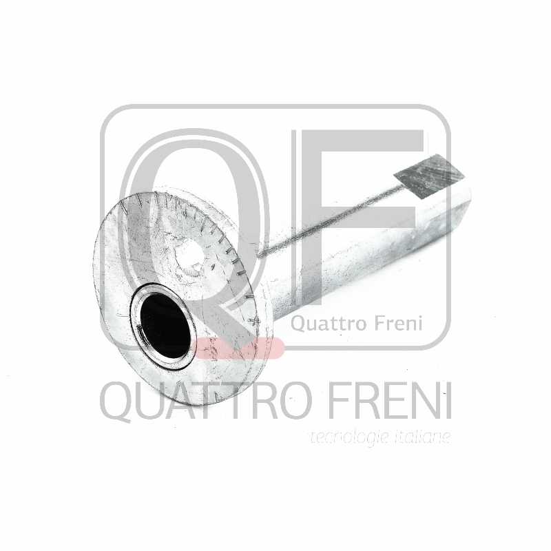 Втулка с эксцентриком <b>QUATTRO FRENI QF00X00023</b> - изображение 1