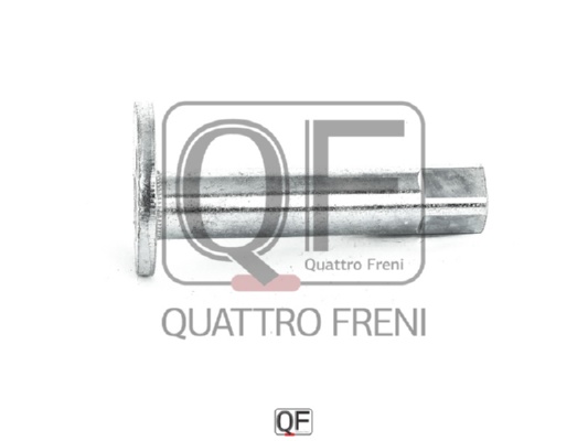 Втулка с эксцентриком <b>QUATTRO FRENI QF00X00023</b> - изображение