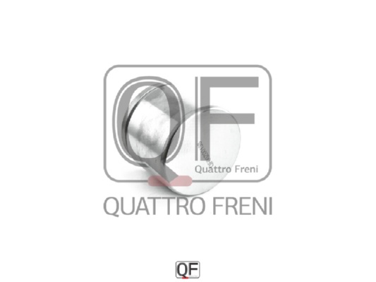 Поршень тормозного суппорта переднего <b>QUATTRO FRENI QF00Z00138</b> - изображение