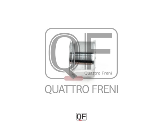 Поршень тормозного суппорта переднего <b>QUATTRO FRENI QF00Z00150</b> - изображение