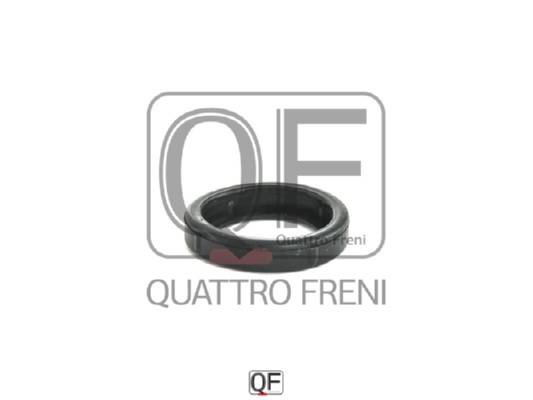 Кольцо уплотнительное свечного колодца <b>QUATTRO FRENI QF42A00001</b> - изображение