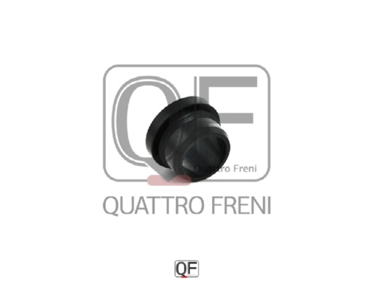 Кольцо уплотнительное мотора омывателя <b>QUATTRO FRENI QF53A00011</b> - изображение