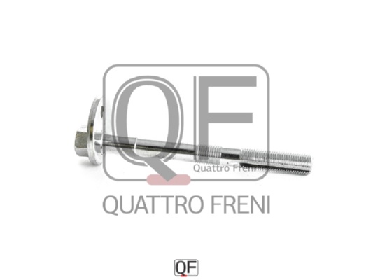 Болт с эксцентриком <b>QUATTRO FRENI QF60D00002</b> - изображение