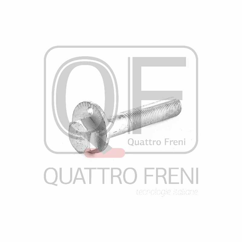 Болт с эксцентриком <b>QUATTRO FRENI QF60D00006</b> - изображение 1