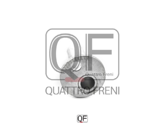 Втулка с эксцентриком <b>QUATTRO FRENI QF60D00008</b> - изображение