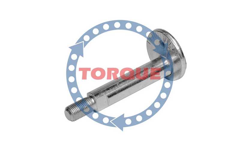 Болт эксцентриковый Mitsubishi Pajero III сзади <b>TORQUE CP003</b> - изображение