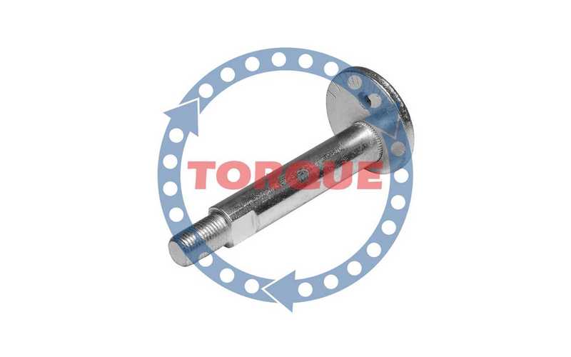 Болт эксцентриковый Mitsubishi Pajero III сзади подпружинный рычаг <b>TORQUE CP004</b> - изображение