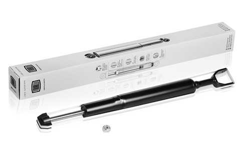 Амортизатор Audi A6 04- (стойка) перед. газ. <b>TRIALLI AG18054</b> - изображение