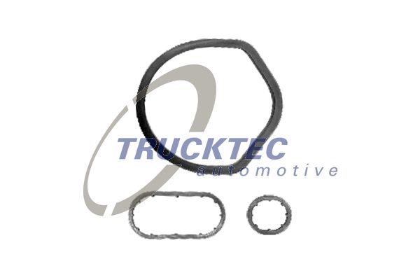 Кольцо уплотнительное (двигатель) <b>TRUCKTEC 02.43.301</b> - изображение
