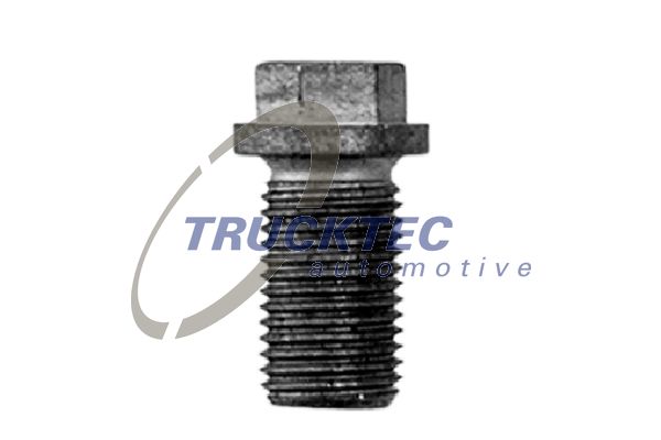 Пробка сливная <b>TRUCKTEC 02.67.125</b> - изображение