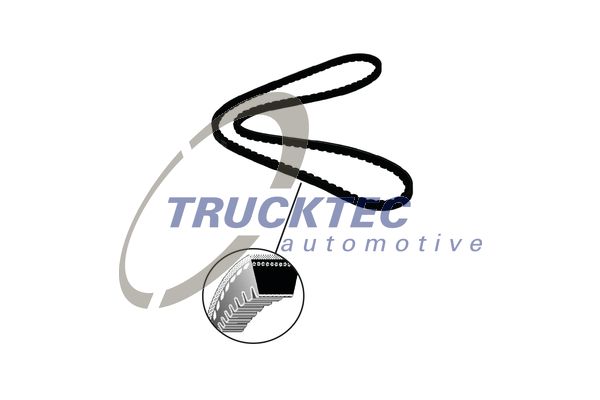 Ремень клин.·MB O302/317/OM352/OM352A/OM <b>TRUCKTEC 03.19.009</b> - изображение