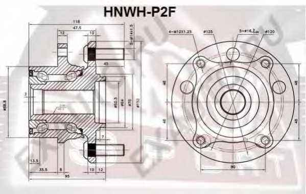 Ступица передняя (1021602226101200260094, китай) 12 <b>ASVA HNWHP2F</b> - изображение