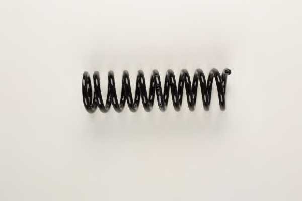 Пружина ходовой части BILSTEIN 36-226009 - изображение Пружина ходовой части BILSTEIN 36-226009 - изображение