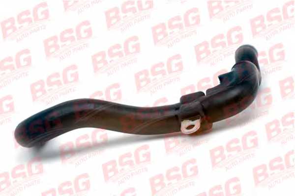 Шланг BSG BSG 30-720-017 - изображение