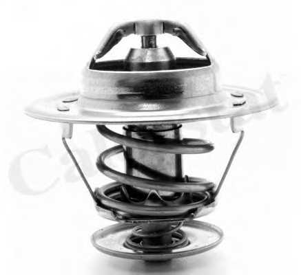 Термостат охлаждающей жидкости CALORSTAT by Vernet TH1529.89J - изображение