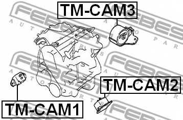 Подвеска двигателя FEBEST TM-CAM1 - изображение 1