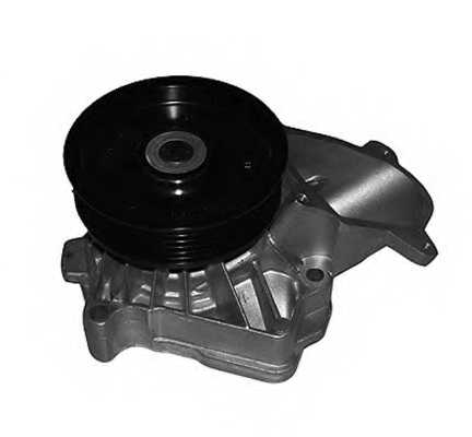 Водяной насос MAGNETI MARELLI WPQ0053 / 352316170053 - изображение