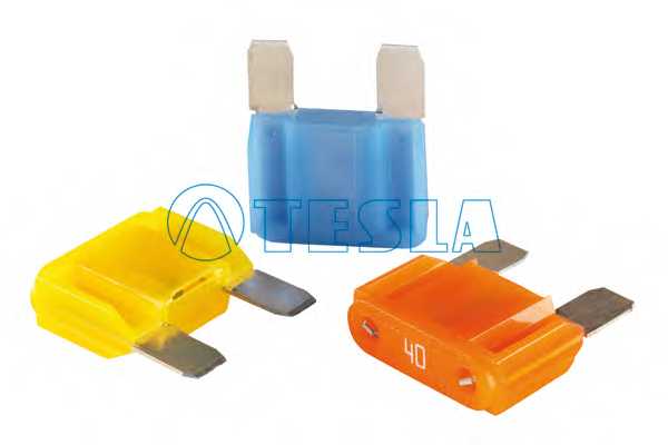 Комплект предохранителей TESLA FX 60A.10 - изображение Комплект предохранителей TESLA FX 60A.10 - изображение