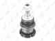 Опора шаровая нижняя L/R MERCEDES-BENZ GL320D-500(X164) 09> / GLE250D-500(W166) 15> / GLS350D-500(X166) 15> / ML250D-500(W164/W166) 05> / R280-500(W251) 06> LYNXAUTO C1388LR - изображение