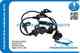 Изображение товара "Датчик ABS ROADRUNNER RR-57455-TA0-A01"