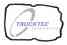 Прокладка, маслянного поддона автоматическ. коробки передач TRUCKTEC 02.25.049 - изображение