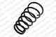 Пружина ходовой части KILEN 54926 - изображение Изображение товара "Пружина ходовой части KILEN 54926"