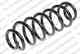 Изображение товара "Пружина ходовой части LESJOFORS 24769350 / 4295093"