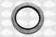 Уплотнительное кольцо SASIC 4001073 - изображение